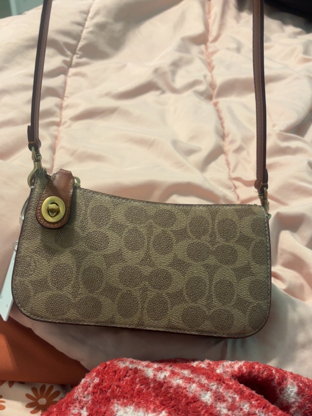 Coach Signature Canvas Crossbody Bag in Brown